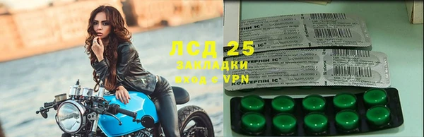 стаф Михайловск