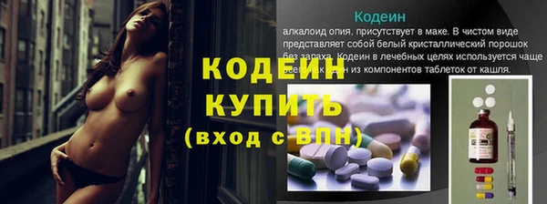 стаф Михайловск