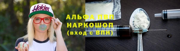 стаф Михайловск