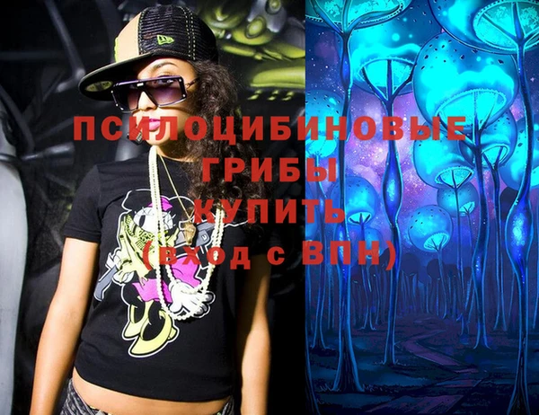 стаф Михайловск