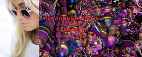 стаф Михайловск