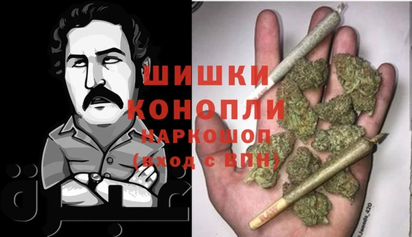 стаф Михайловск