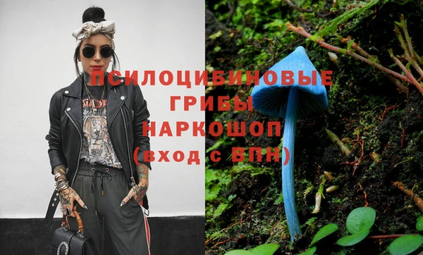стаф Михайловск